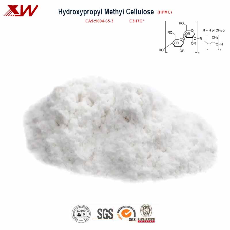 Hydroxypropyl Methyl Cellulose （HPMC ）